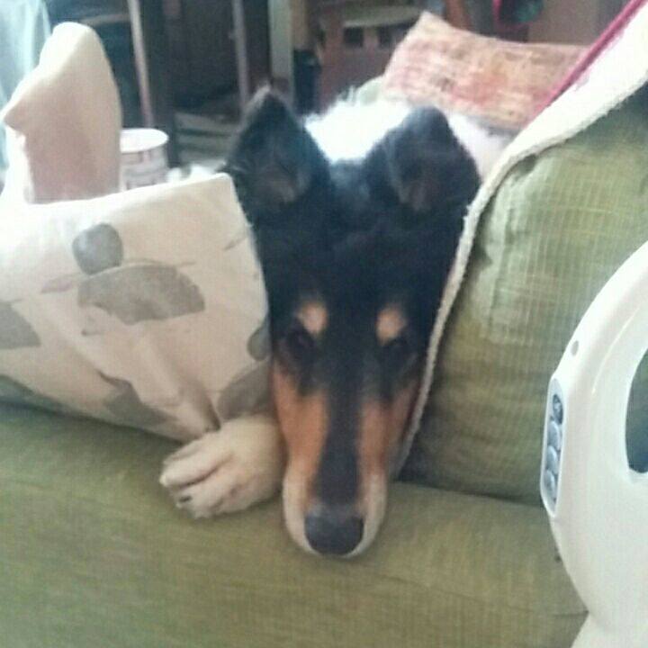 Ca3e1753 d036 4a00 a002 13ed0d303fed