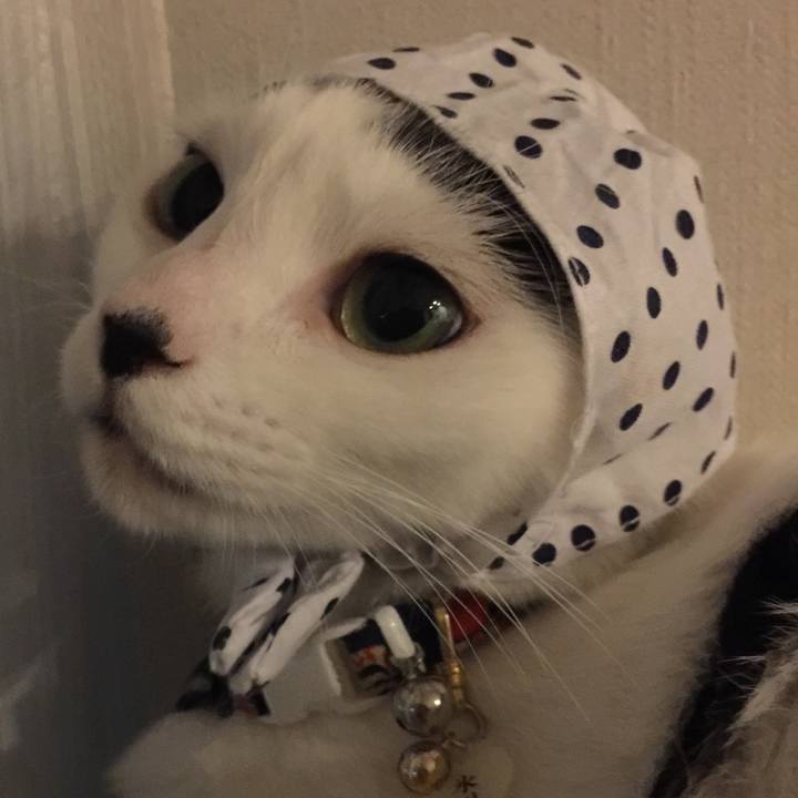 Ca3e5596 3958 4206 adae 2d9e7a591157