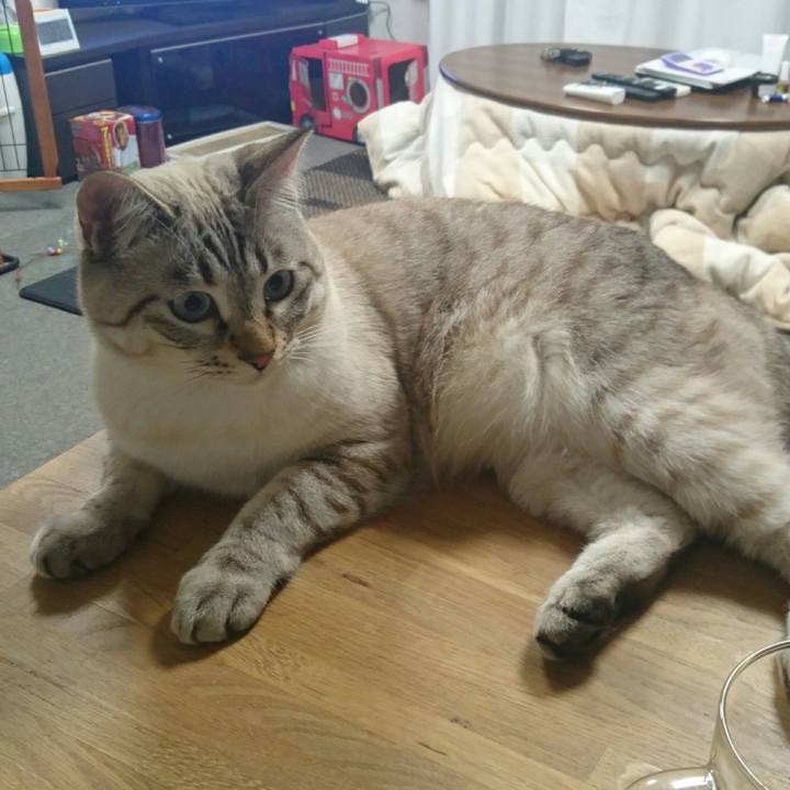 Ca3e784a 5730 4ad0 b2c7 e5a761ec0820