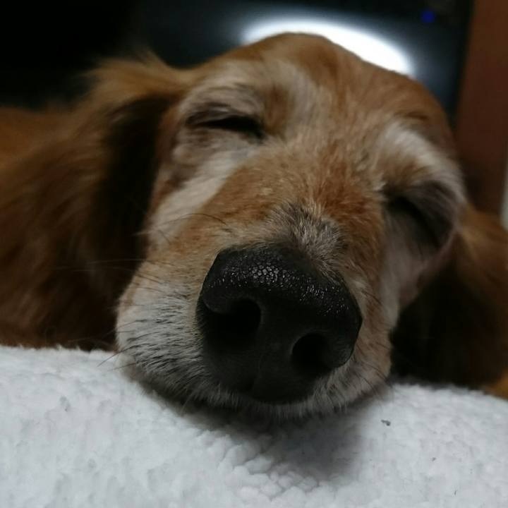 Ca3e8d1b 24fd 4510 8204 c9ab46e7106d