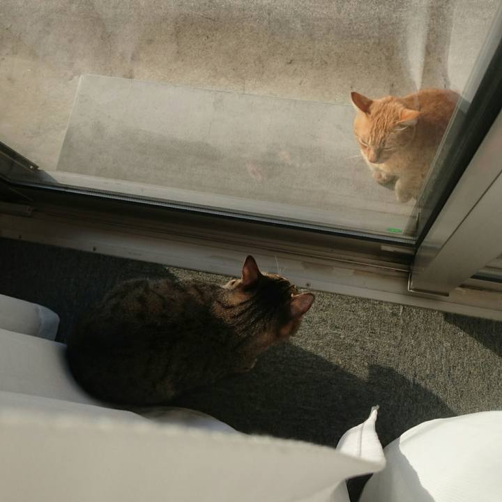 Ca3ea0ed dfd0 43e2 8366 b3fbbe63d2d5