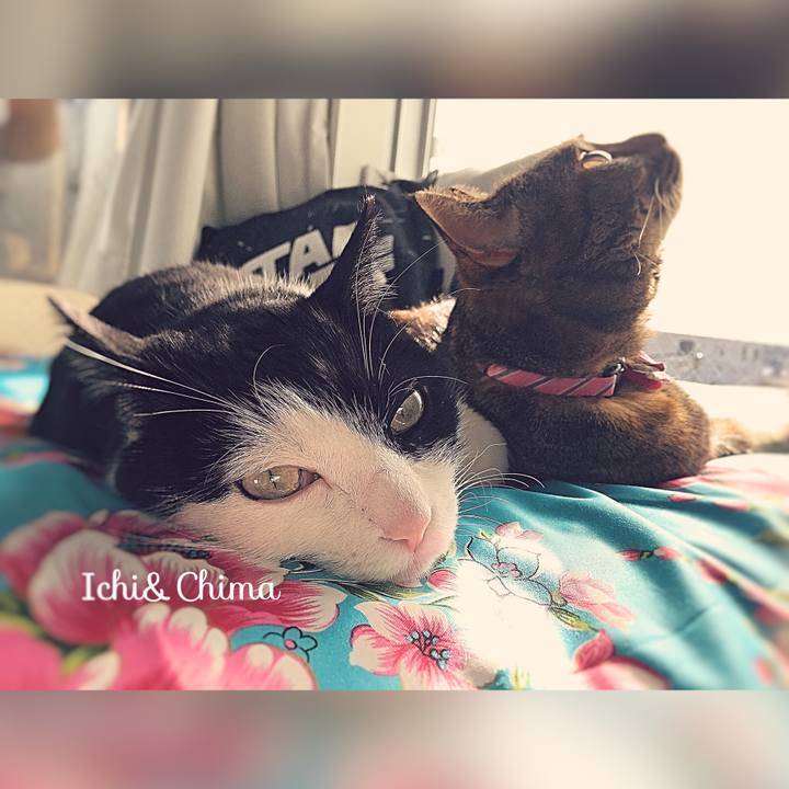 Ca3eedbe bce5 458f 8d20 68883ac37e41