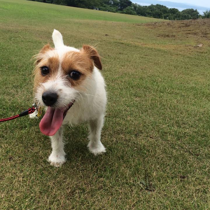 Ca3f30f7 55f1 405e 9879 75be571b2406