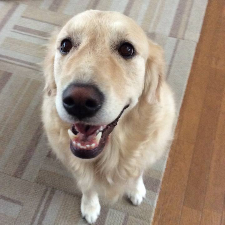 Ca3f9a9a ef1d 4573 bc4e 4a14b94f4337