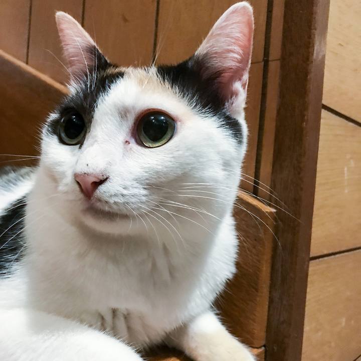 Ca3fcdfe f536 4461 afd0 2eb9a7d6d32a