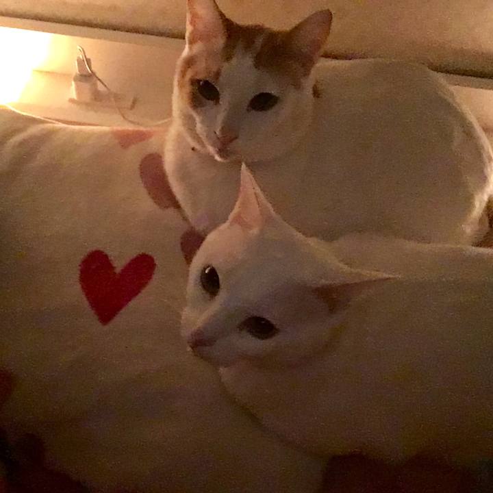 Ca3fd7c9 01f0 40a6 af11 5af8c7d48912