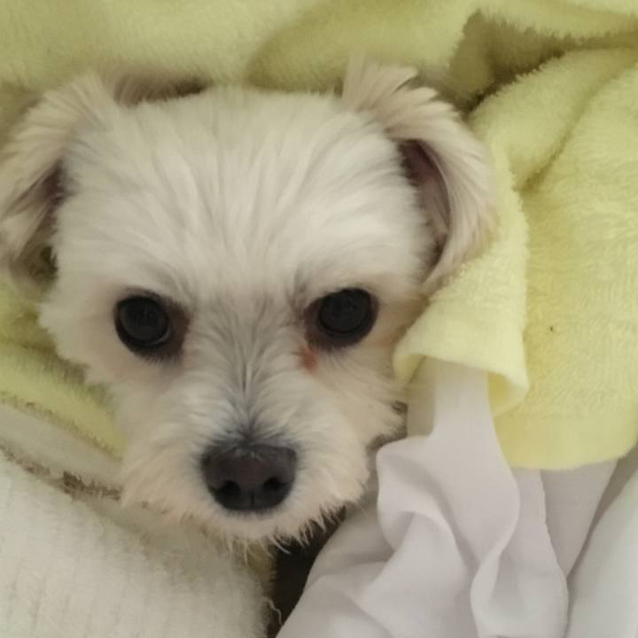 Ca3fdfc2 f536 40e5 b7bd 47e75af46dd2