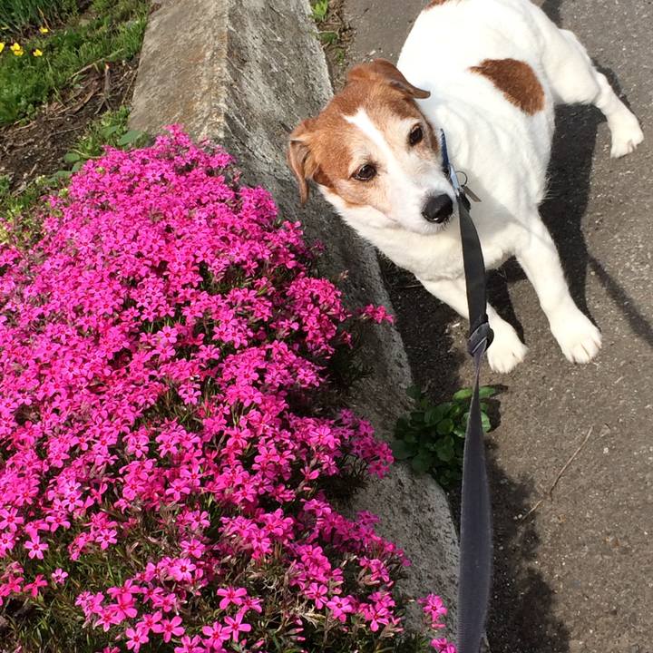 Ca402e86 3e79 4de2 8f74 e3b3b6e6bb47