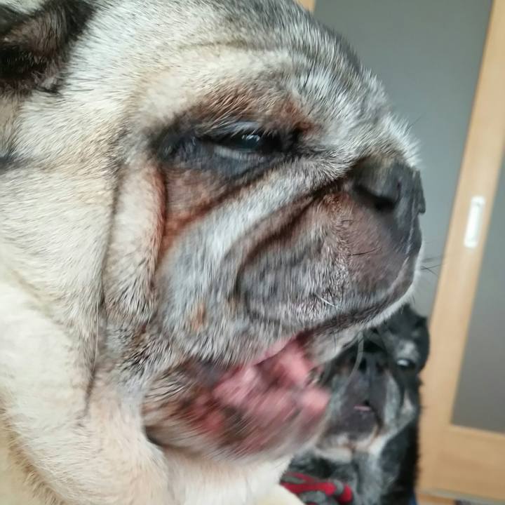 Ca405fd8 7901 42e8 a299 575b3656422d