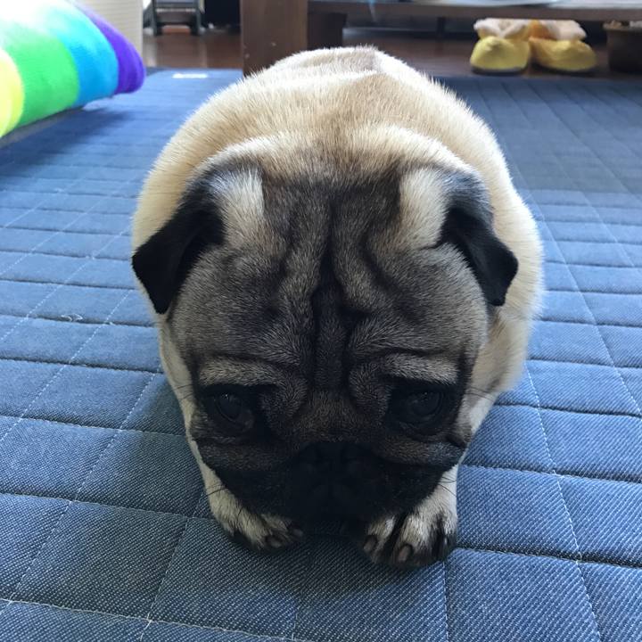 Ca4194ad a4cd 4554 97f5 f95a1dd56e39