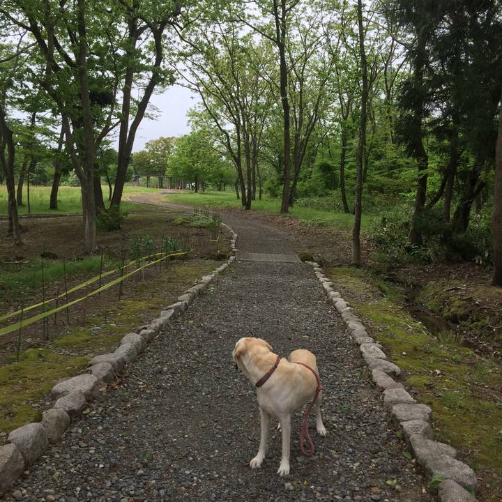 Ca42152f 6a15 48fb a8d3 42bb8355410f