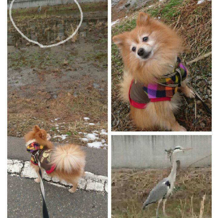 Ca42bb19 81bf 43a9 906b 4a818bfdc6aa