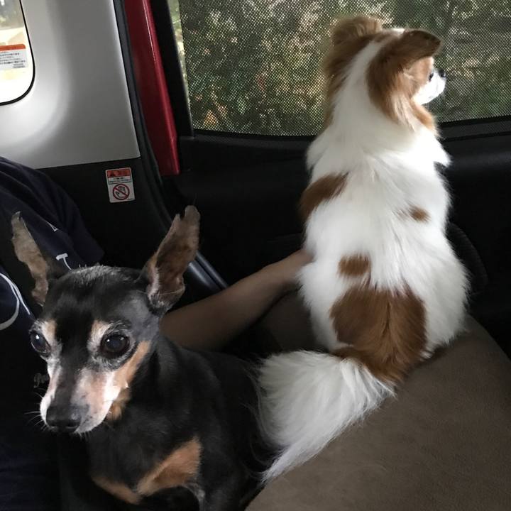 Ca42eacf 2912 4e5e 966a 8dfbaf7c53b9