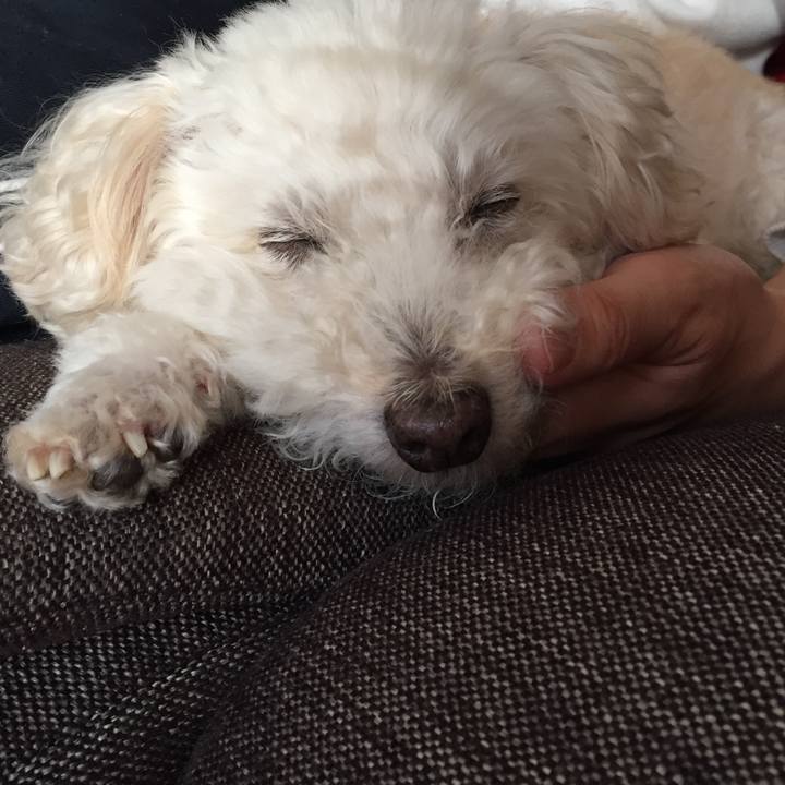 Ca438d7a 8bc1 4cd9 ba03 328b01c8a43d