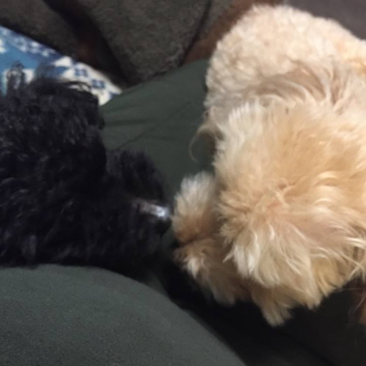 Ca439d2d 4520 45de 911b 8392f925fd3b