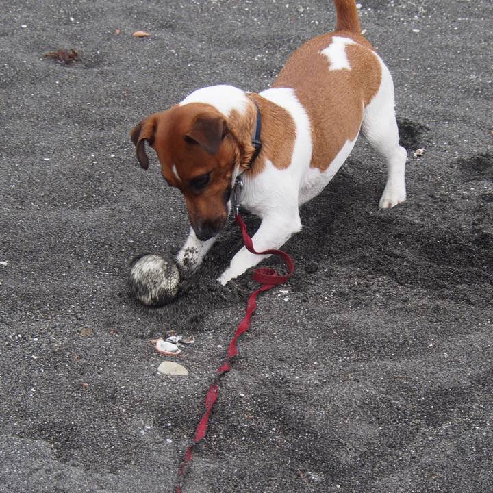 Ca44b7fe 2306 41e0 aaeb 0a227839f539