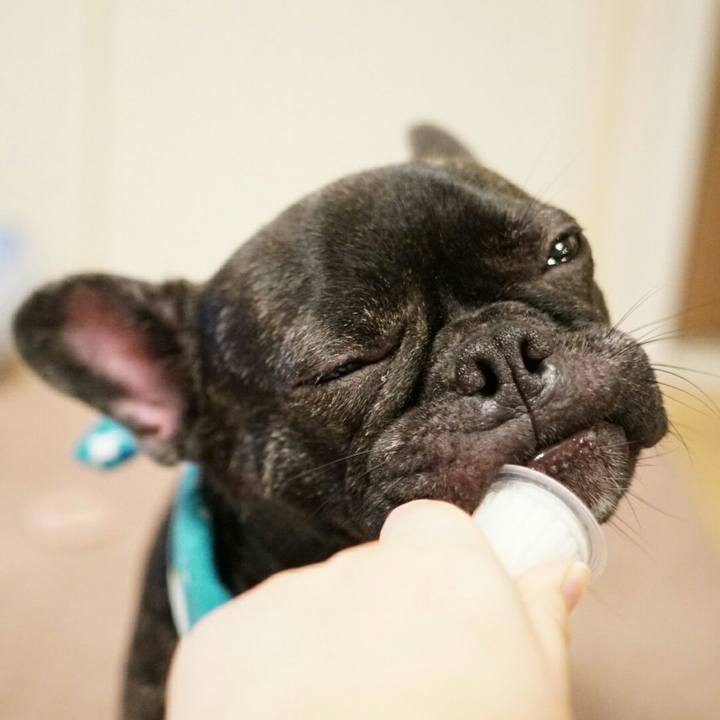 Ca44fa63 1bfc 4022 acc9 91f3b48981bc