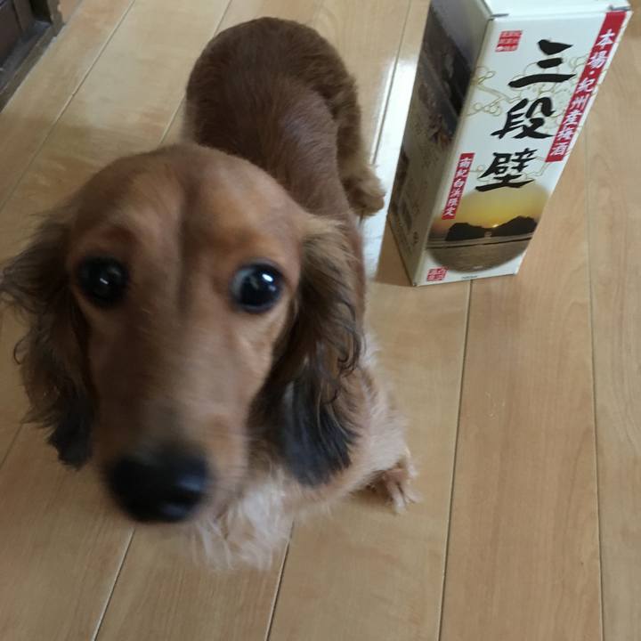 Ca453622 2bb2 4deb 8441 7c6e098e5e9a