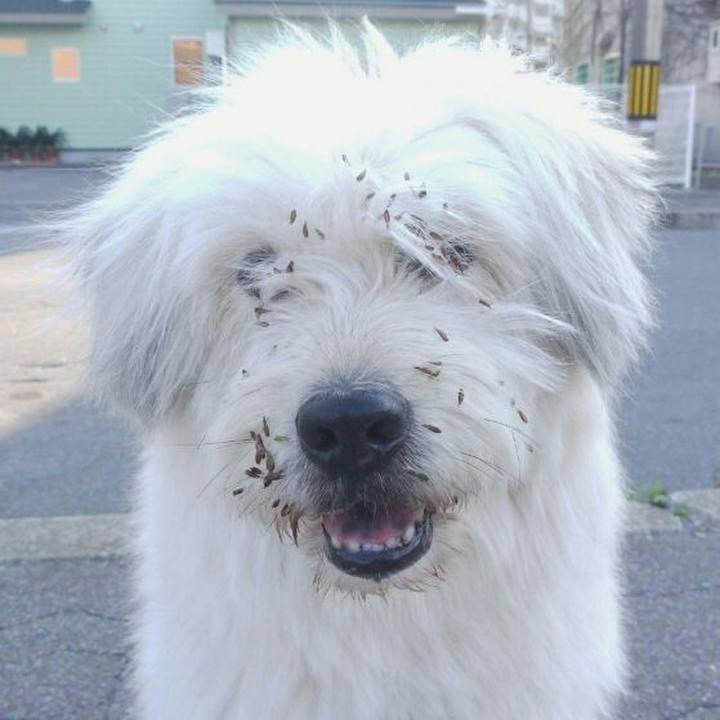 Ca4619f4 847c 44f5 baf7 8ec2e268de92