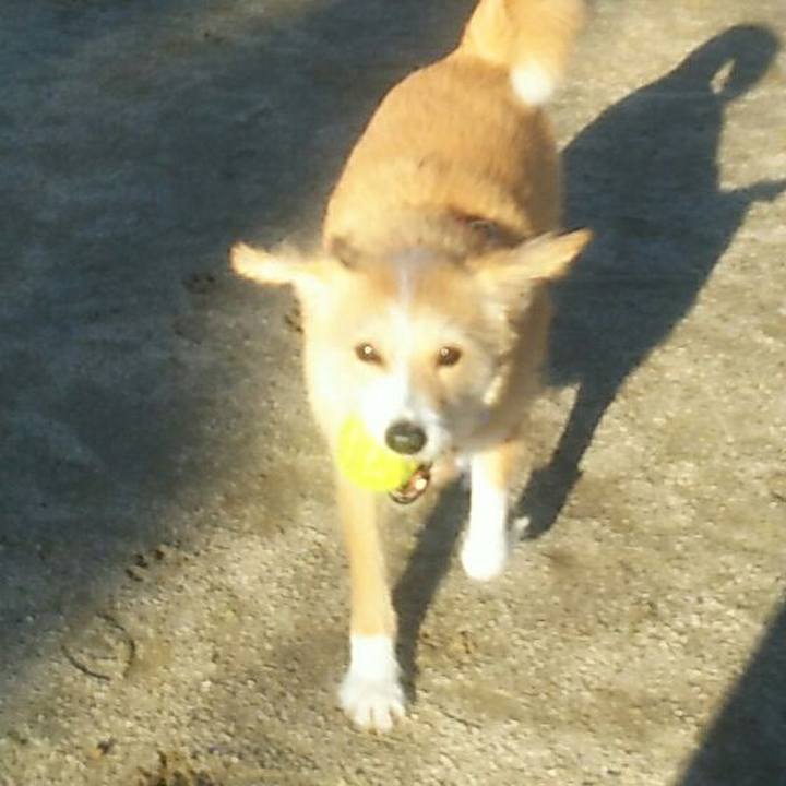 Ca464a13 fbfc 43c6 b642 7c1d41a1cd8f