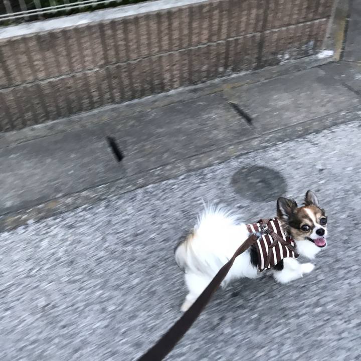 Ca46dd04 ba37 4203 a54e 9c427f9fa4d6