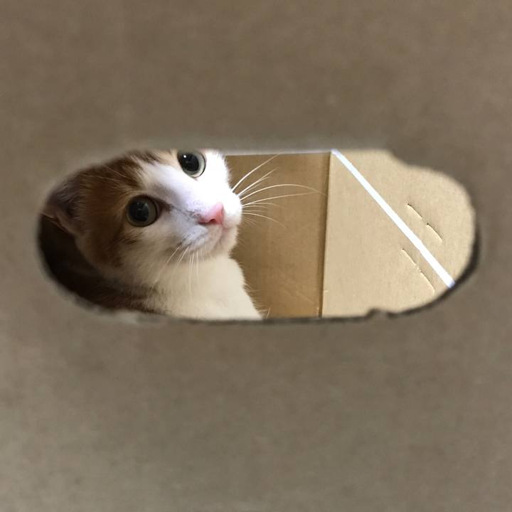 Ca47443e 5ffc 44ec a56c fa95af3b3b18