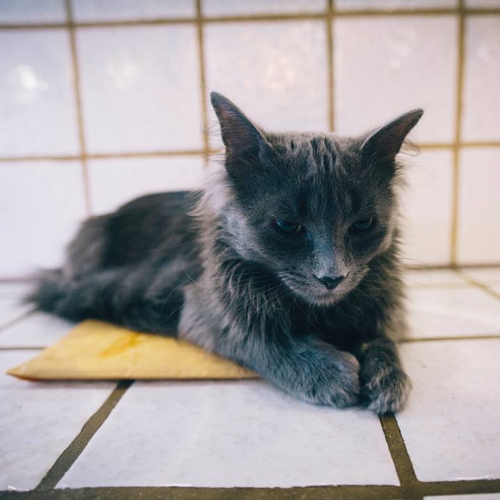 Ca47a518 db8b 49be 92ed 0aca41219313