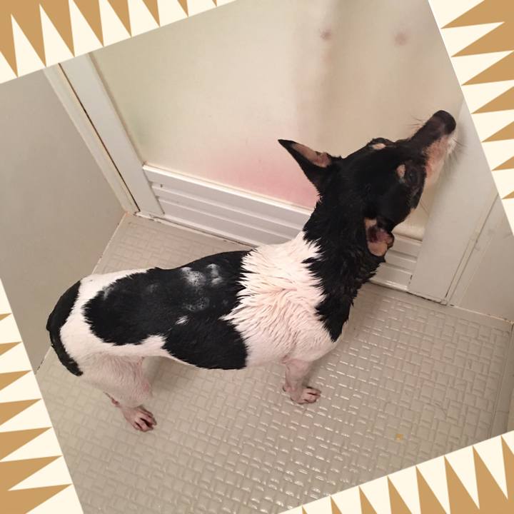 Ca486546 ef51 4b4c 8558 2d9c42c313b9