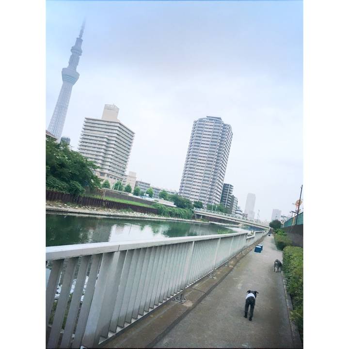 Ca495473 be30 43b3 807e c8fc18f76daf