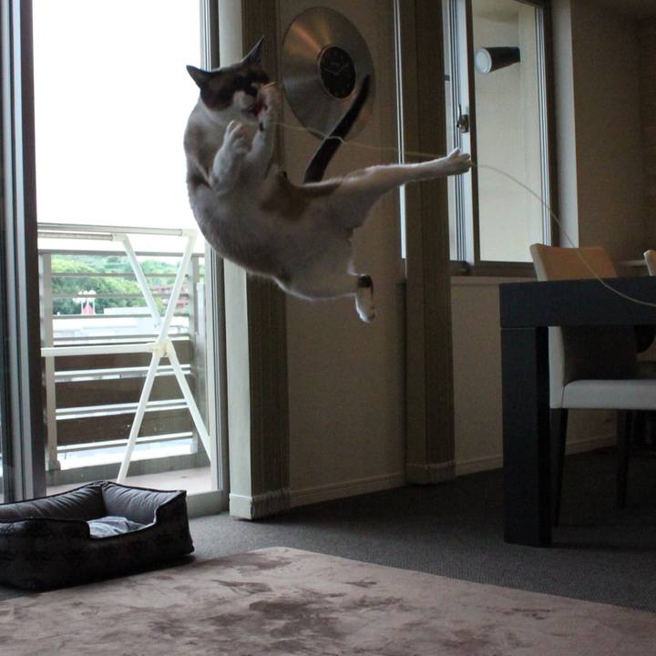 Ca49591f a1f6 4a4b 9668 e94b74355cb3