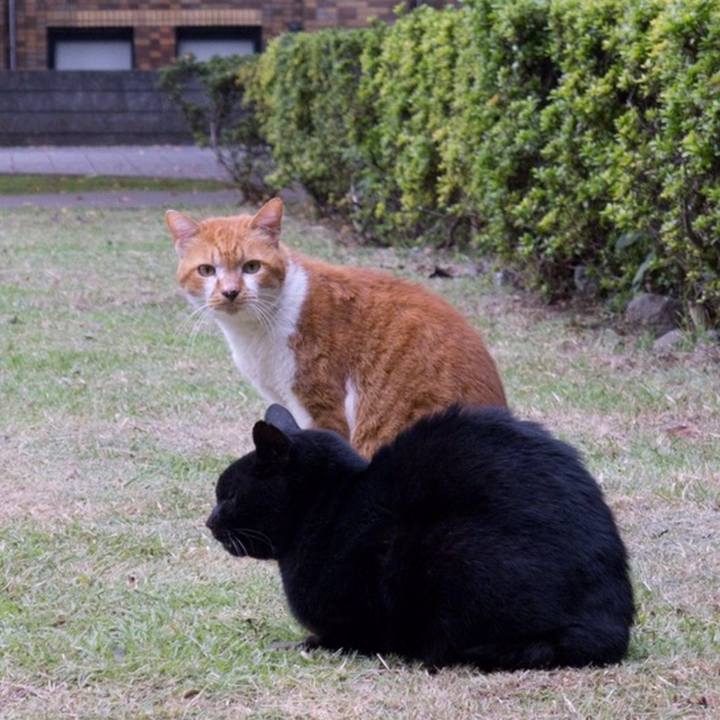 Ca498f0a 1afe 4564 8b2e 9d688d99b938