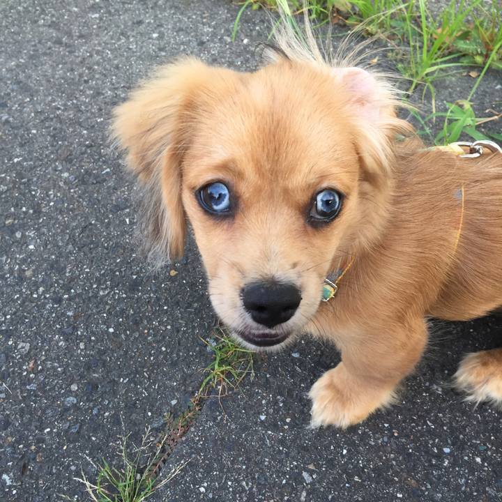 Ca4a2ce8 22bd 4805 b68a cd0445138628