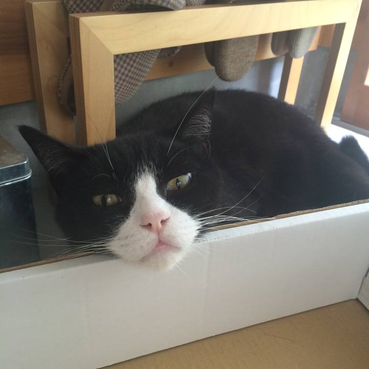 Ca4a4a96 7418 46df b1f1 96e749d2b87a