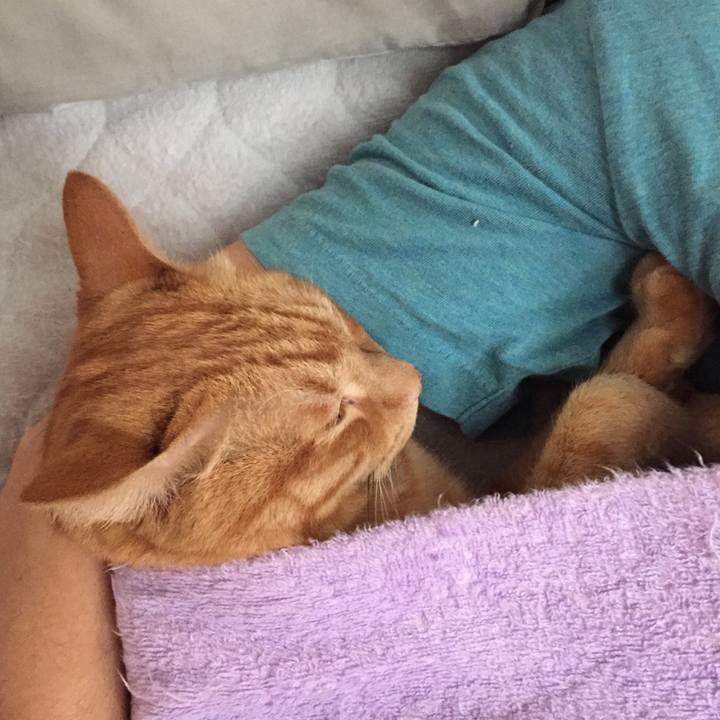 Ca4ad6b2 acc9 4632 a85f ef1b99971eea