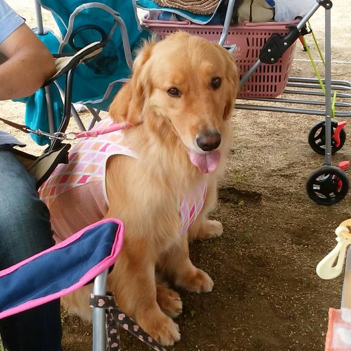 Ca4b94cc 2d91 443c bca1 64760e65f079