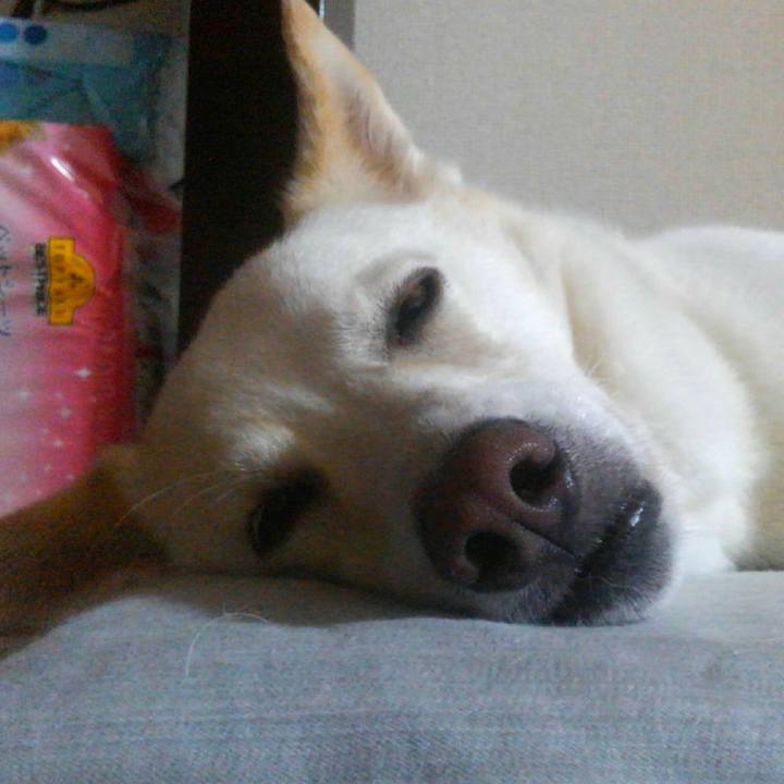 Ca4bf793 27dc 43c6 b195 a3fc4fa6d7d0