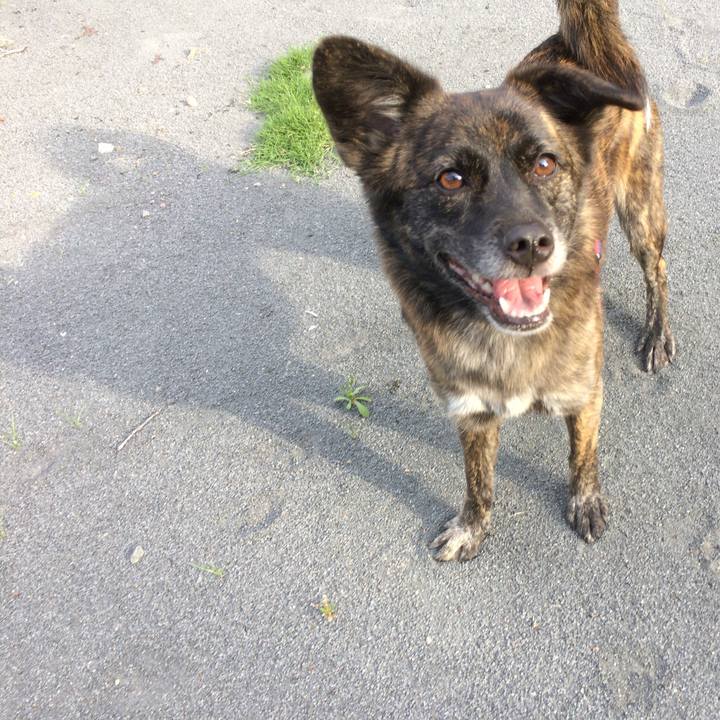 Ca4c1dc8 37fb 465b ad30 7b9c869d1a0e