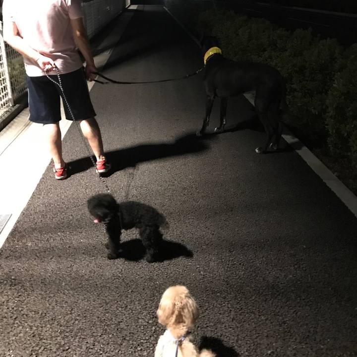 Ca4c7bd7 1d45 43d5 b8a5 49275b9bb776