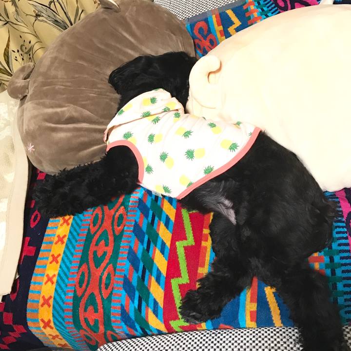 Ca4c8b8f d5e0 453f bce8 a8fcf2ce8486