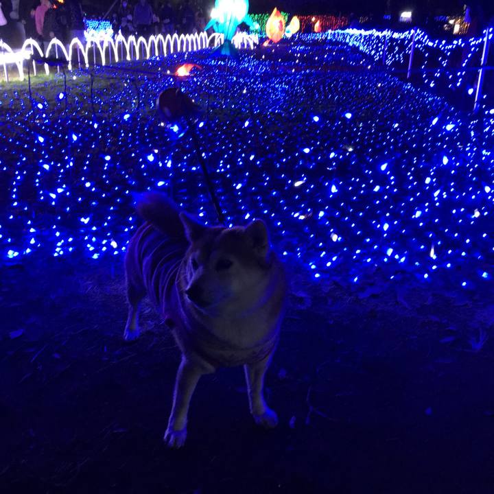 Ca4ce61a 8581 4197 aeb0 97ea5892549e