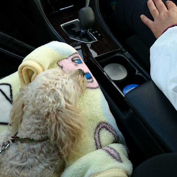 Ca4cfb1c 00d7 498f b358 222824d514d4