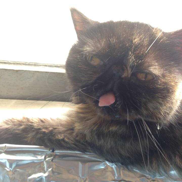 Ca4d72db 7069 4466 89ef 3038c6cb6911