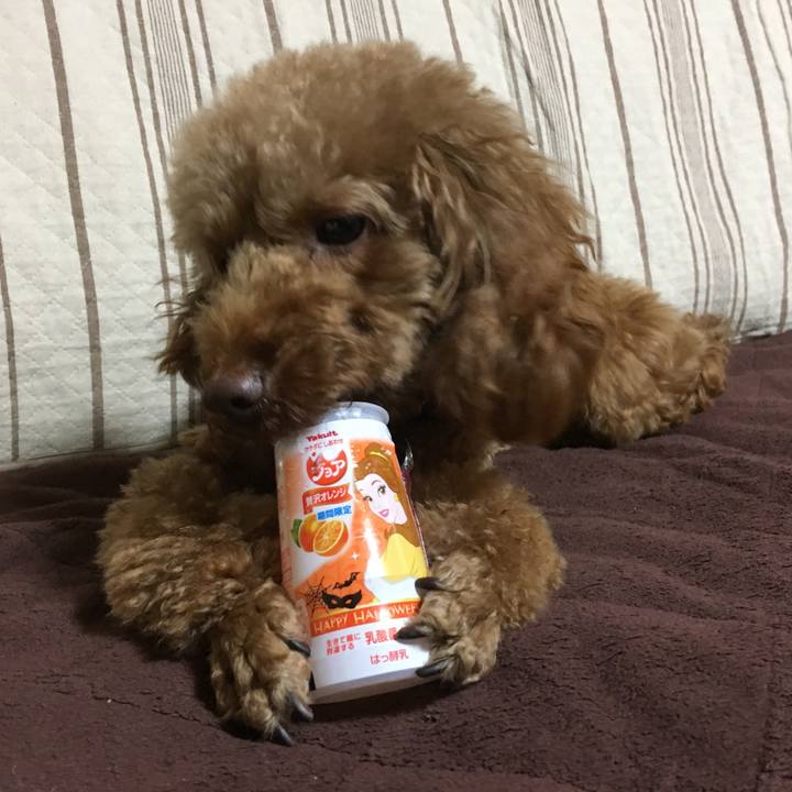 Ca4df72b 9db0 4635 847d df3bce33e710