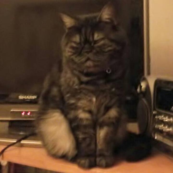 Ca4e2e33 4e7c 4ad3 81dc ec265b5d2d66