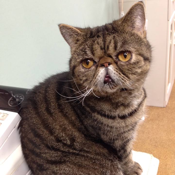 Ca4e434d 7f7c 44ab 82df 0322b288a8fa