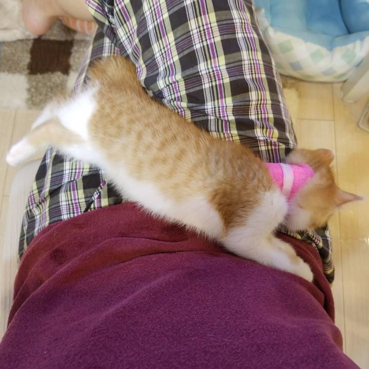 Ca4ea645 8cae 454a 8df3 0b88c5a2e637