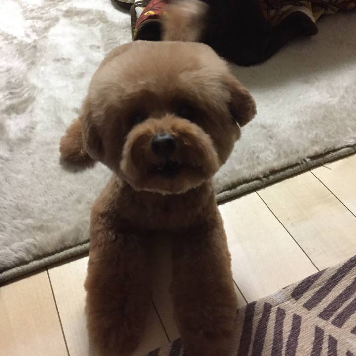 Ca4ee5f2 1a36 4a50 876a f6686da93015