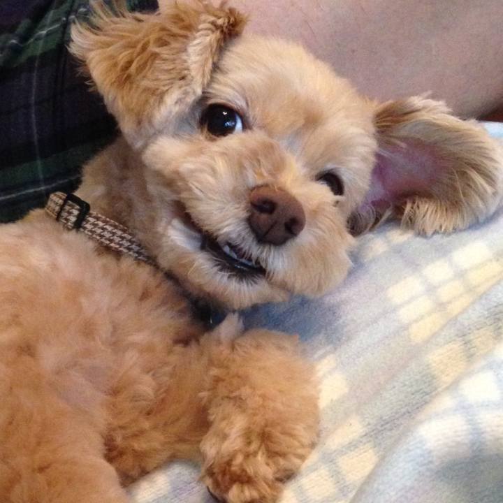 Ca4f4090 85b1 491d bbc4 c0957f564dd7