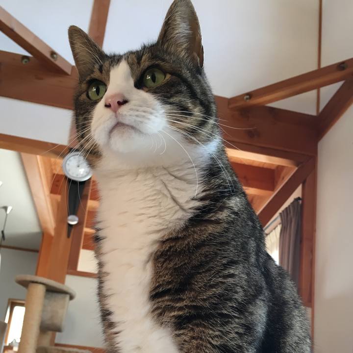 Ca4fb0a2 c042 4212 bd02 b39c6a3e4464