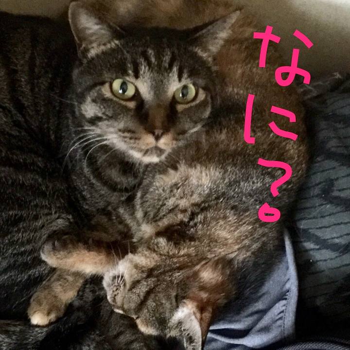 Ca4fd336 9c36 4bae a990 b0f37f5bd6c6